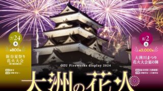 2024年 大洲市 花火大会